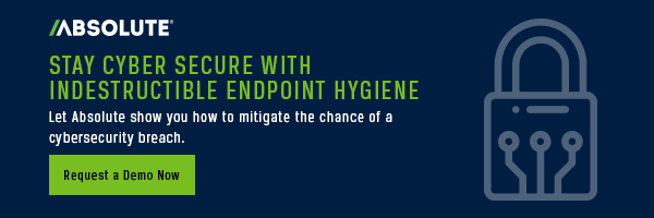 Stay cyber secure with unbreakable endpoint hygiene