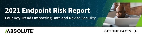 2021 Endpoint Risk Report